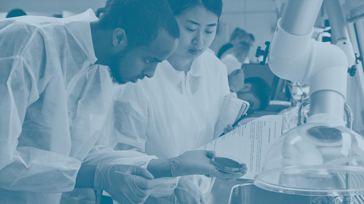 To personer arbejder sammen i et laboratorie.